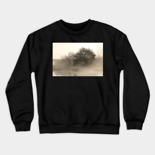 Lake, autumn mood, ground fog, hoarfrost, trees, landscape, Fischerhude, Lower Saxony, Germany Crewneck Sweatshirt